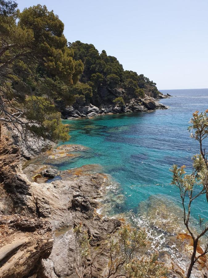 Villa L'Arbanaise Vue Mer Piscine Presqu'Ile Giens By Hc Hyères المظهر الخارجي الصورة